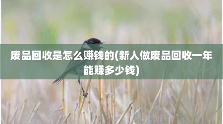 废品回收是怎么赚钱的(新人做废品回收一年能赚多少钱)