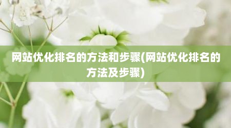 网站优化排名的方法和步骤(网站优化排名的方法及步骤)