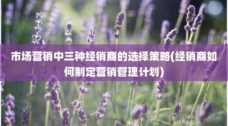 市场营销中三种经销商的选择策略(经销商如何制定营销管理计划)