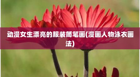 动漫女生漂亮的服装简笔画(漫画人物泳衣画法)