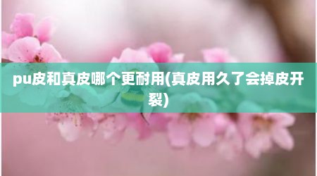 pu皮和真皮哪个更耐用(真皮用久了会掉皮开裂)
