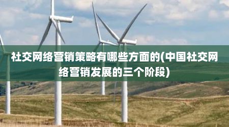 社交网络营销策略有哪些方面的(中国社交网络营销发展的三个阶段)