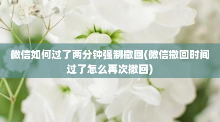 微信如何过了两分钟强制撤回(微信撤回时间过了怎么再次撤回)