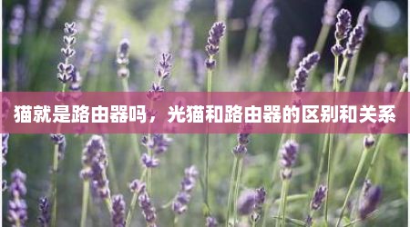猫就是路由器吗，光猫和路由器的区别和关系