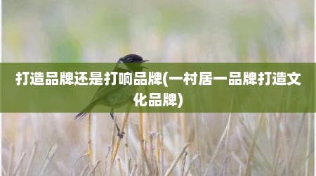 打造品牌还是打响品牌(一村居一品牌打造文化品牌)
