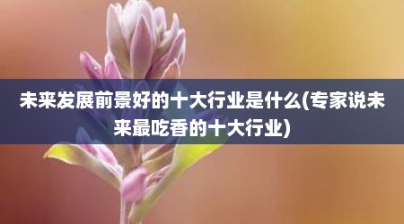 未来发展前景好的十大行业是什么(专家说未来最吃香的十大行业)