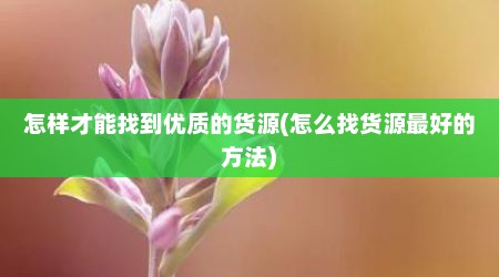 怎样才能找到优质的货源(怎么找货源最好的方法)