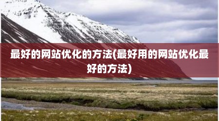 最好的网站优化的方法(最好用的网站优化最好的方法)