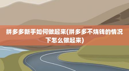 拼多多新手如何做起来(拼多多不烧钱的情况下怎么做起来)