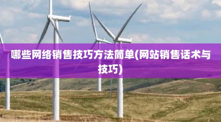 哪些网络销售技巧方法简单(网站销售话术与技巧)