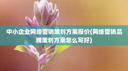 中小企业网络营销策划方案报价(网络营销品牌策划方案怎么写好)