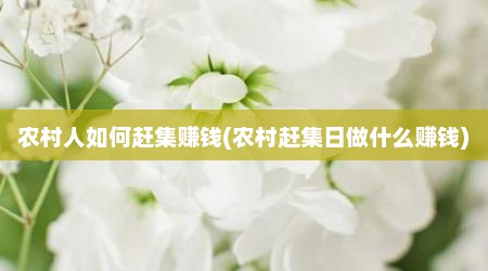 农村人如何赶集赚钱(农村赶集日做什么赚钱)