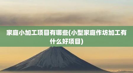 家庭小加工项目有哪些(小型家庭作坊加工有什么好项目)