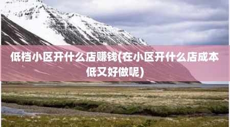 低档小区开什么店赚钱(在小区开什么店成本低又好做呢)
