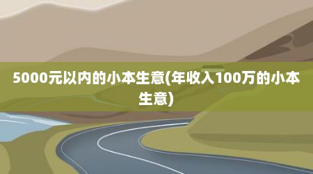 5000元以内的小本生意(年收入100万的小本生意)
