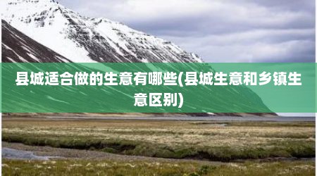 县城适合做的生意有哪些(县城生意和乡镇生意区别)