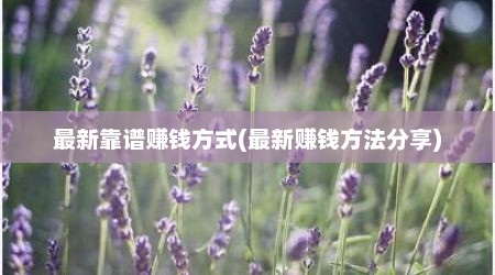 最新靠谱赚钱方式(最新赚钱方法分享)
