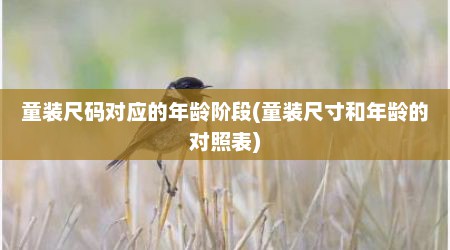 童装尺码对应的年龄阶段(童装尺寸和年龄的对照表)