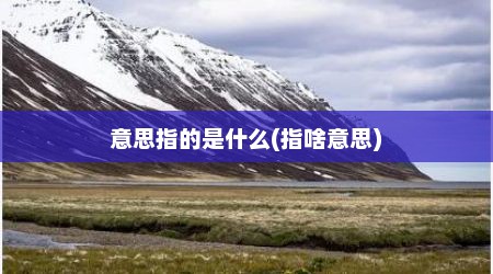 意思指的是什么(指啥意思)