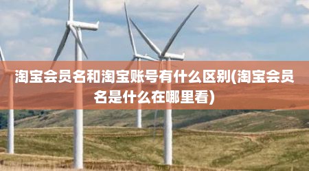 淘宝会员名和淘宝账号有什么区别(淘宝会员名是什么在哪里看)
