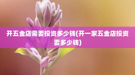 开五金店需要投资多少钱(开一家五金店投资要多少钱)