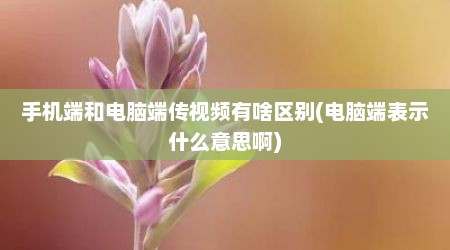 手机端和电脑端传视频有啥区别(电脑端表示什么意思啊)