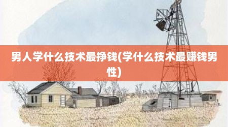 男人学什么技术最挣钱(学什么技术最赚钱男性)