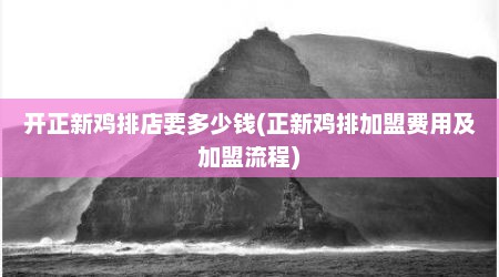 开正新鸡排店要多少钱(正新鸡排加盟费用及加盟流程)