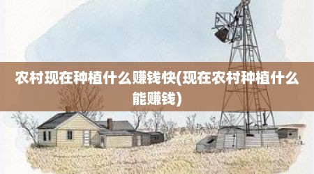 农村现在种植什么赚钱快(现在农村种植什么能赚钱)