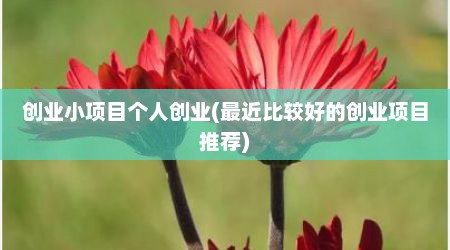 创业小项目个人创业(最近比较好的创业项目推荐)