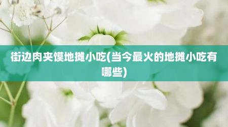 街边肉夹馍地摊小吃(当今最火的地摊小吃有哪些)