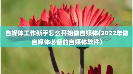 自媒体工作新手怎么开始做自媒体(2022年做自媒体必备的自媒体软件)