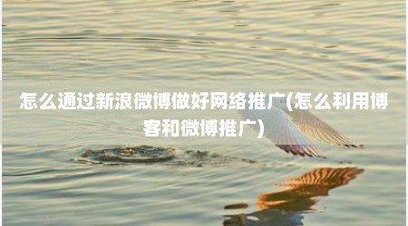怎么通过新浪微博做好网络推广(怎么利用博客和微博推广)