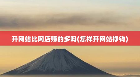 开网站比网店赚的多吗(怎样开网站挣钱)