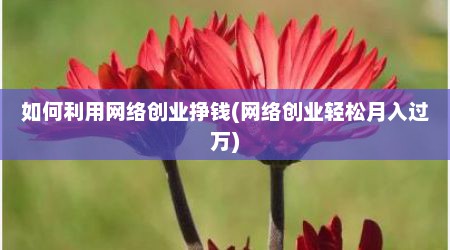 如何利用网络创业挣钱(网络创业轻松月入过万)