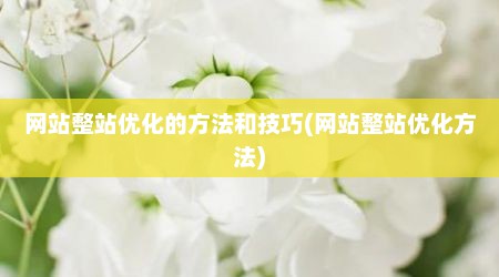 网站整站优化的方法和技巧(网站整站优化方法)