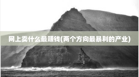 网上卖什么最赚钱(两个方向最暴利的产业)