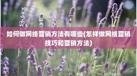 如何做网络营销方法有哪些(怎样做网络营销技巧和营销方法)
