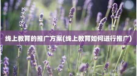 线上教育的推广方案(线上教育如何进行推广)