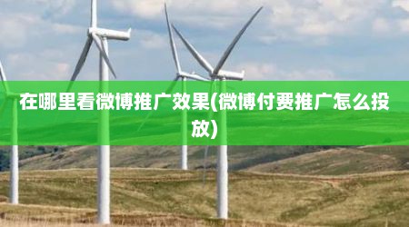 在哪里看微博推广效果(微博付费推广怎么投放)