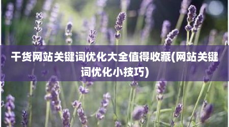 干货网站关键词优化大全值得收藏(网站关键词优化小技巧)