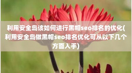 利用安全岛该如何进行黑帽seo排名的优化(利用安全岛做黑帽seo排名优化可从以下几个方面入手)