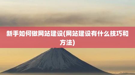 新手如何做网站建设(网站建设有什么技巧和方法)