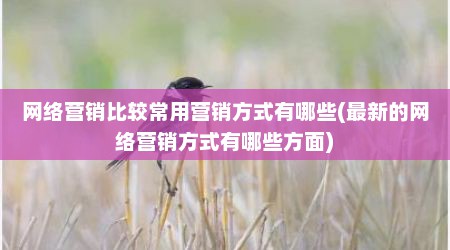 网络营销比较常用营销方式有哪些(最新的网络营销方式有哪些方面)