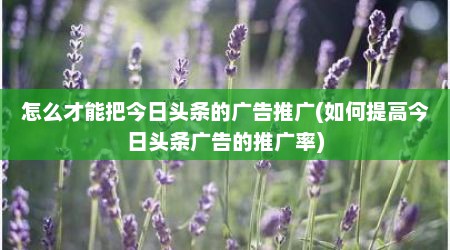 怎么才能把今日头条的广告推广(如何提高今日头条广告的推广率)