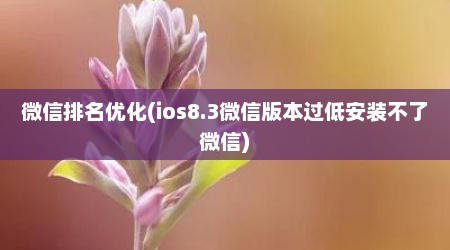 微信排名优化(ios8.3微信版本过低安装不了微信)