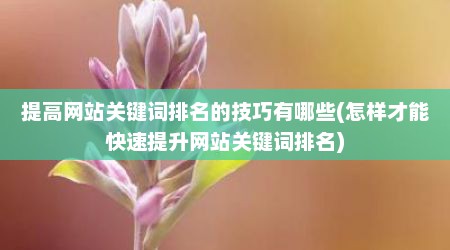 提高网站关键词排名的技巧有哪些(怎样才能快速提升网站关键词排名)