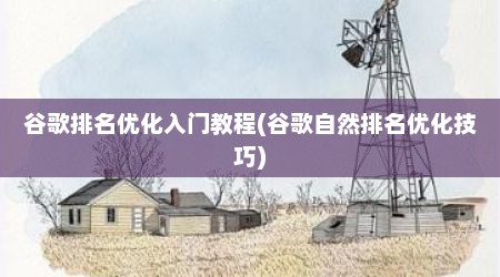 谷歌排名优化入门教程(谷歌自然排名优化技巧)