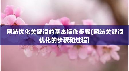 网站优化关键词的基本操作步骤(网站关键词优化的步骤和过程)