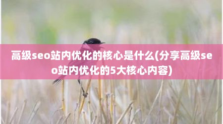 高级seo站内优化的核心是什么(分享高级seo站内优化的5大核心内容)